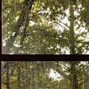 ���� ���������, ������, 65 ��� - ��������� 3 ���� 2023