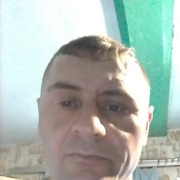 ������, ������������, 37 ���