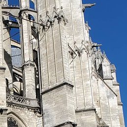 � .�, ����, 37 ���