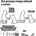 ���� �����, ����, 85 ��� - ��������� 4 ������� 2023
