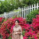 ���� ������, ������, 70 ��� - ��������� 17 ������ 2023