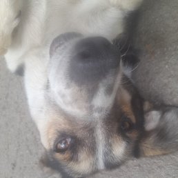 ���, �������, 23 ����