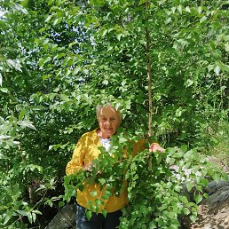 ���� ����, ������, 73 ���� - ��������� 6 ����� 2023