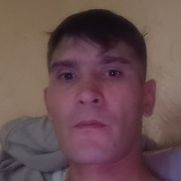 ������, �����, 39 ���