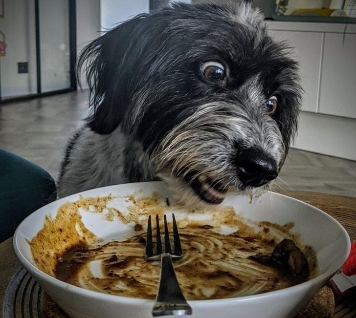 �� �� ����� ����� ������, ��� ��� ������ �� ��������