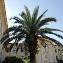 ���� �������, ������ ����� - ��������� 23 �������� 2023 � ������ ���� ����������