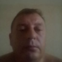 ������, �������, 43 ����