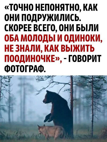    - 3