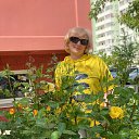 ���� �������, ���������, 52 ���� - ��������� 21 ��� 2023 � ������ ���� ����������