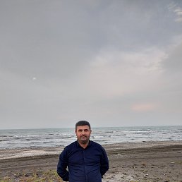 ���� ������, ������, 43 ���� - ��������� 3 ���� 2023