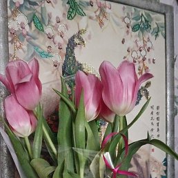 ��������, ������, 62 ����