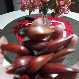 ���� Patrick Robertson, �����������, 91 ��� - ��������� 31 ������� 2023