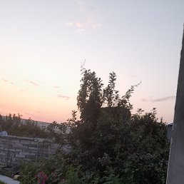 ������, ������ ��������, 53 ����