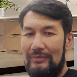 �������, �������, 46 ���