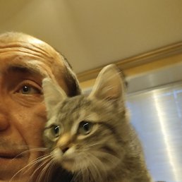 ���� ������, �������, 39 ��� - ��������� 5 ��� 2023