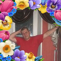 �������, ������ �����, 49 ���