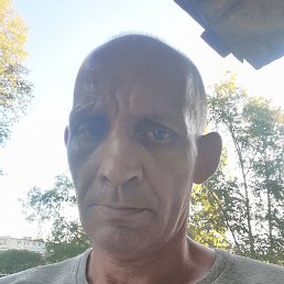 �������, �����-���������, 54 ����