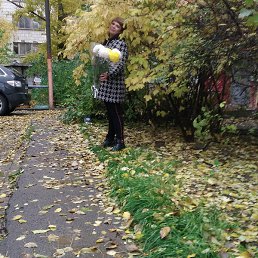 �����, ���������, 50 ���