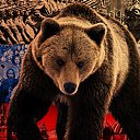 ���� ��������, �����������, 41 ��� - ��������� 20 ������� 2023 � ������ ���� ����������