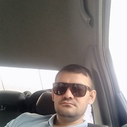 ������, �����-���������, 37 ���