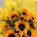 ���� �������, ������, 62 ���� - ��������� 30 ���� 2023