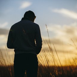 ����, �����-���������, 46 ���