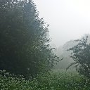 ���� �������, �����, 54 ���� - ��������� 25 ���� 2023 � ������ ���� ����������