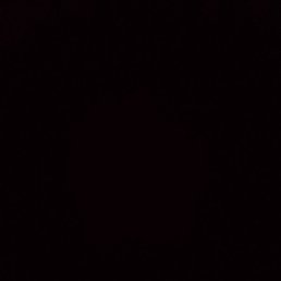 Foxy, ������, 26 ���