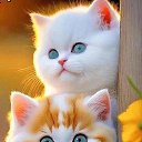 ���� �������, ������, 64 ���� - ��������� 23 �������� 2023 � ������ ���� ����������