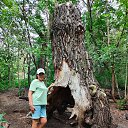 ���� �������, ����, 63 ���� - ��������� 5 ������� 2023 � ������ ���� ����������