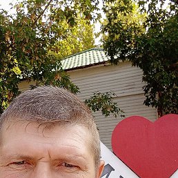 ����, �������, 46 ���