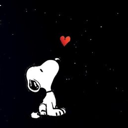 ����, ������-��-����, 32 ����