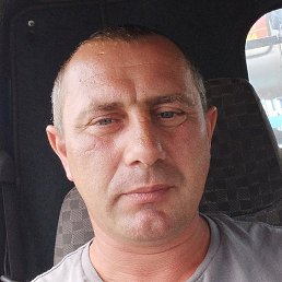 ��������, ����������, 39 ���