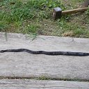 ���� ���������, ������, 55 ��� - ��������� 11 ���� 2023