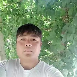 ������, ���������, 45 ���