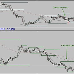 Dits, ������, 56 ���