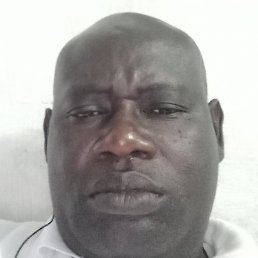 Donga, �����������, 54 ����