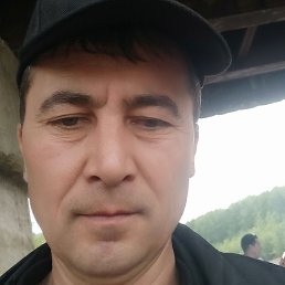 ����� �������, ������, 41 ���