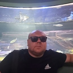 ����������, ������, 43 ����