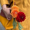 ���� ����, ���������, 56 ��� - ��������� 1 ������� 2023 � ������ ���� ����������