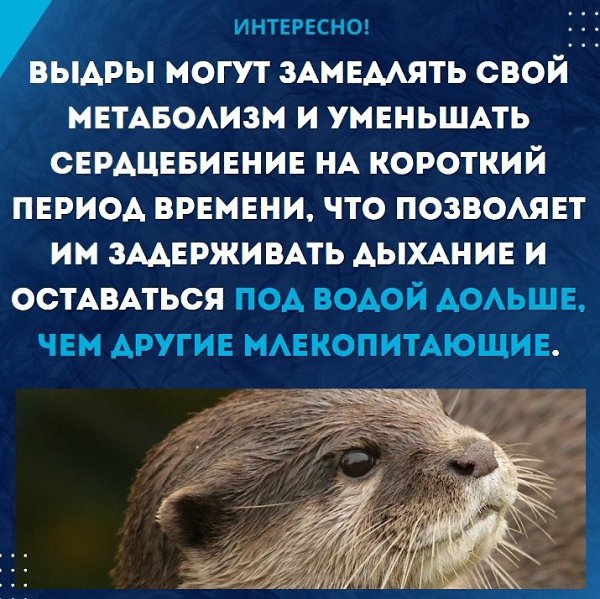 ��� ���������� - ������! - 30 ����� 2023 � 21:53