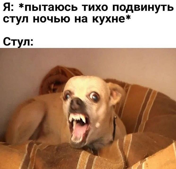 ��� �������� �������� - 16 ������� 2023 � 14:34
