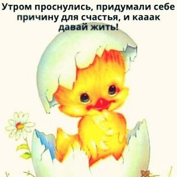 ������, �������, 51 ���