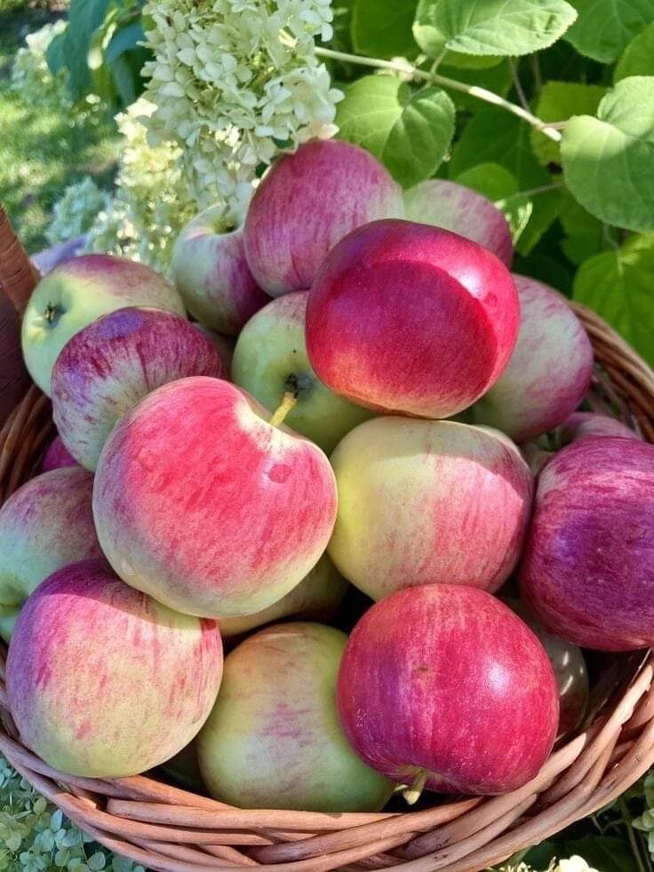 19 ������� �������� ����! ������������ �������� ��� �������� ���� �������� ������ �� ���� ...