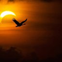 ���� �������, ��������, 53 ���� - ��������� 25 ���� 2023