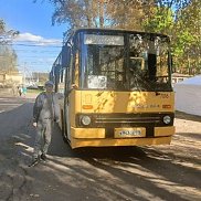 ���, 20 ���, �����-���������