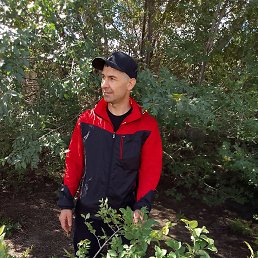 ���������, ���������, 40 ���