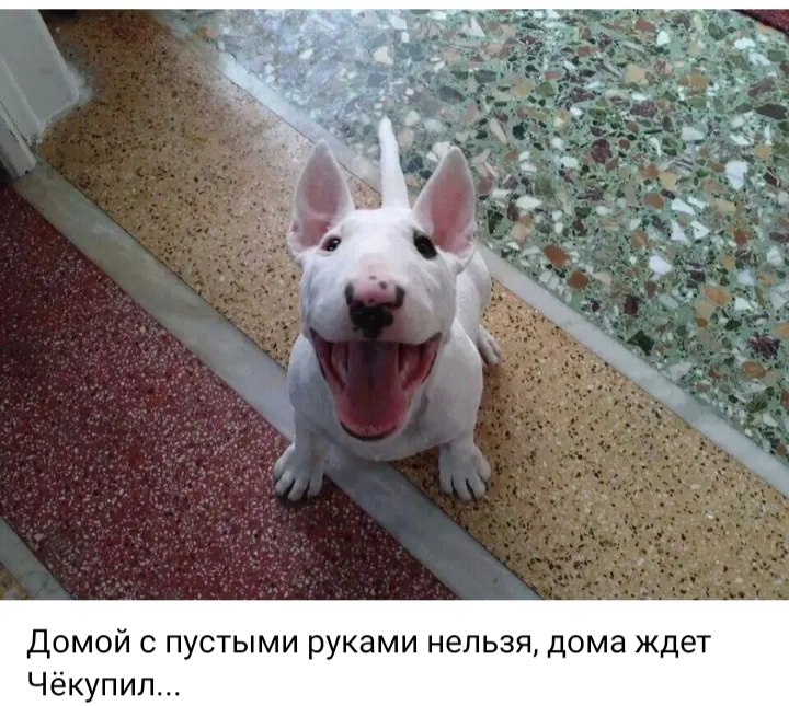 ***Victoria Viktorovna*** - 21  2023  16:03