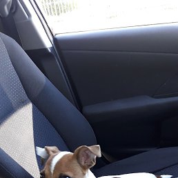 ������, ������, 37 ���