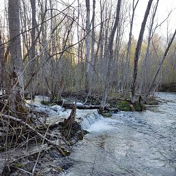 ���� Michail, ������, 42 ���� - ��������� 7 ������� 2023